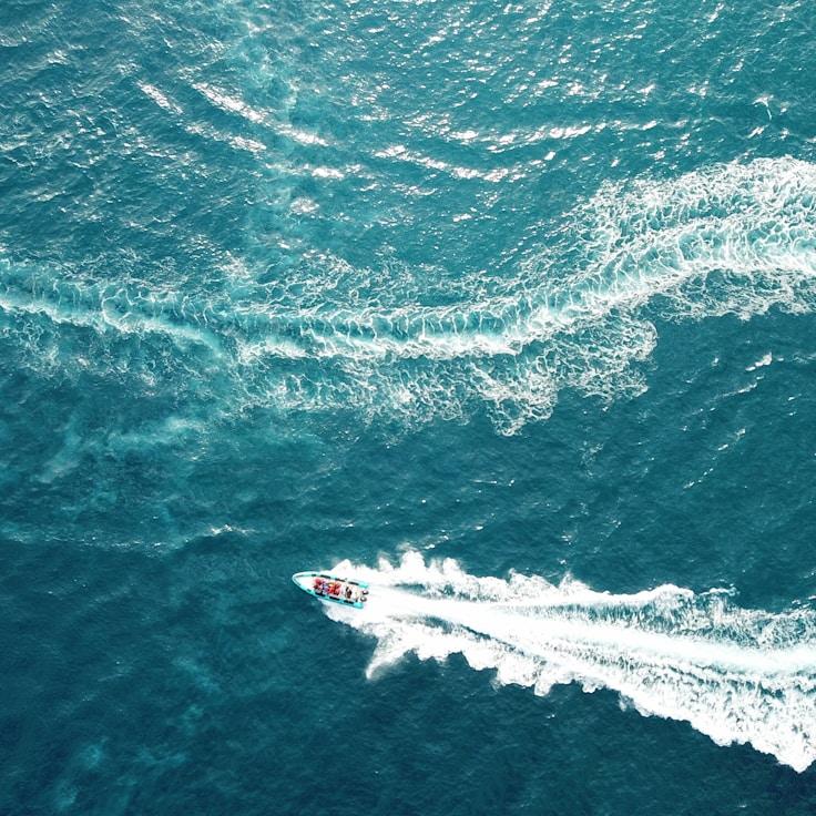 NovusCommonsLane yacht fleet